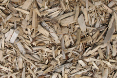 biomass boilers Aquhythie
